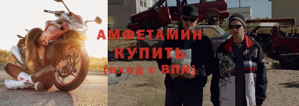 молекула духа Богданович