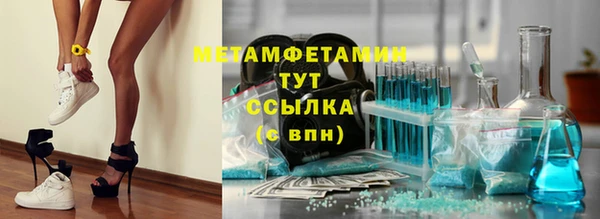 молекула духа Богданович
