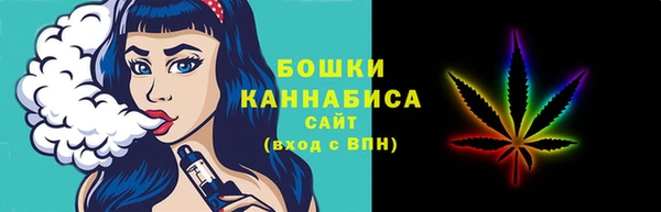 хмурый Белокуриха