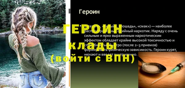 молекула духа Богданович
