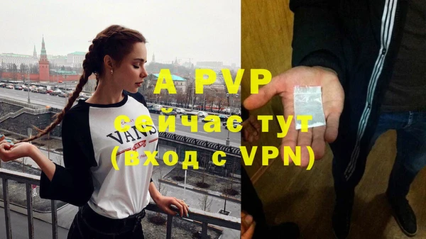 гашик Богородск