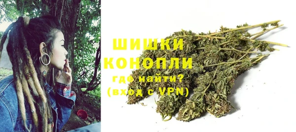 хмурый Белокуриха