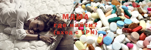 молекула духа Богданович